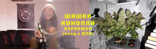 PSILOCYBIN Нефтегорск