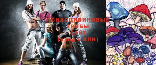 прущие крисы Нея