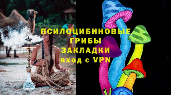 PSILOCYBIN Нефтегорск