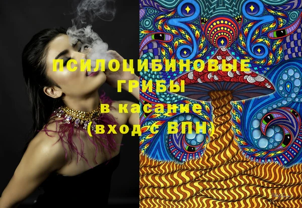PSILOCYBIN Нефтегорск