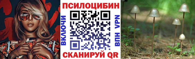 где купить наркоту  Любим  Псилоцибиновые грибы Psilocybine cubensis 